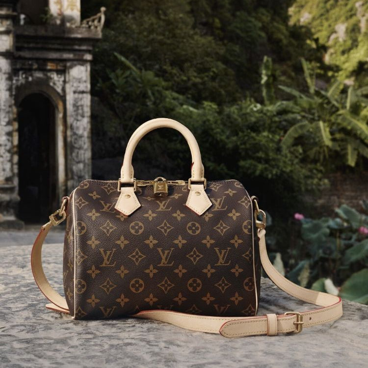 Louis Vuitton Speedy Bandoulière 30 Bag